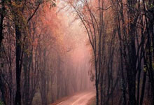 美因茨放手一搏，勇晋德甲联赛前列的简单介绍